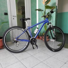 Motor Veneta MTB venti9alfa Blu - Basic