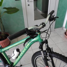 Motor Veneta MTB venti9alfa Verde Plus-Collection