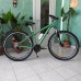 Motor Veneta MTB venti9alfa Verde Plus-Collection